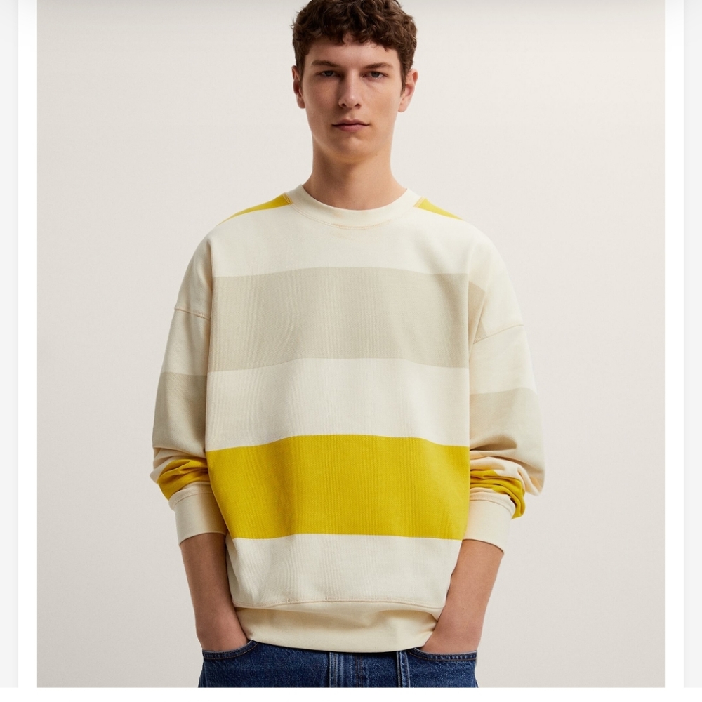 Zara SWEATSHIRT